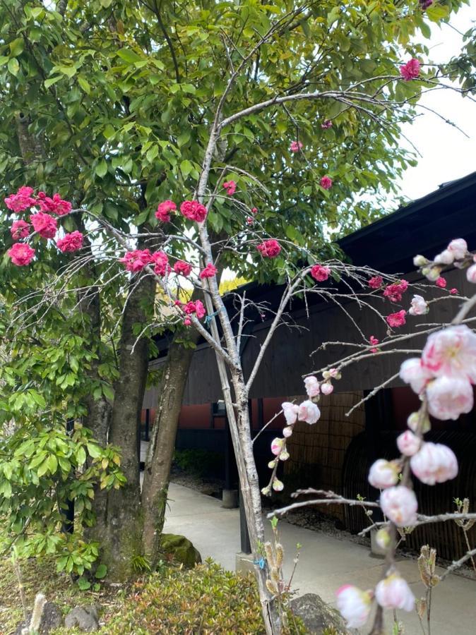 Отель Yufuin Ryoan Wazanho Оита Экстерьер фото